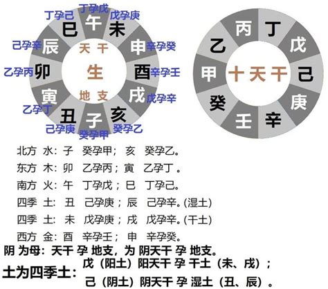 丙巳|十二地支藏干 十二地支五行属性对照表